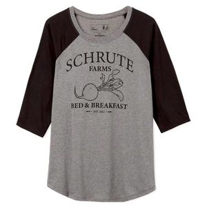 The Office Schrute Farms Classic Fit Raglan Tee - Heather Grey Torrid 2